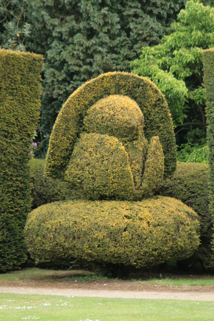Pflanzfehler beim Baum