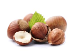 Haselnuss – Früchte aus der Nähe