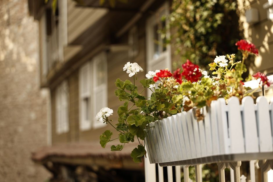 Balkon mit Blumen