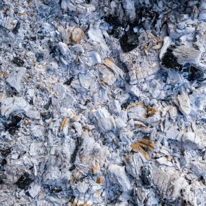 Holzasche als Dünger: Asche im Garten, wann und wie viel