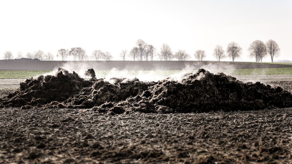 In die Beeterde eingearbeiteter Mist