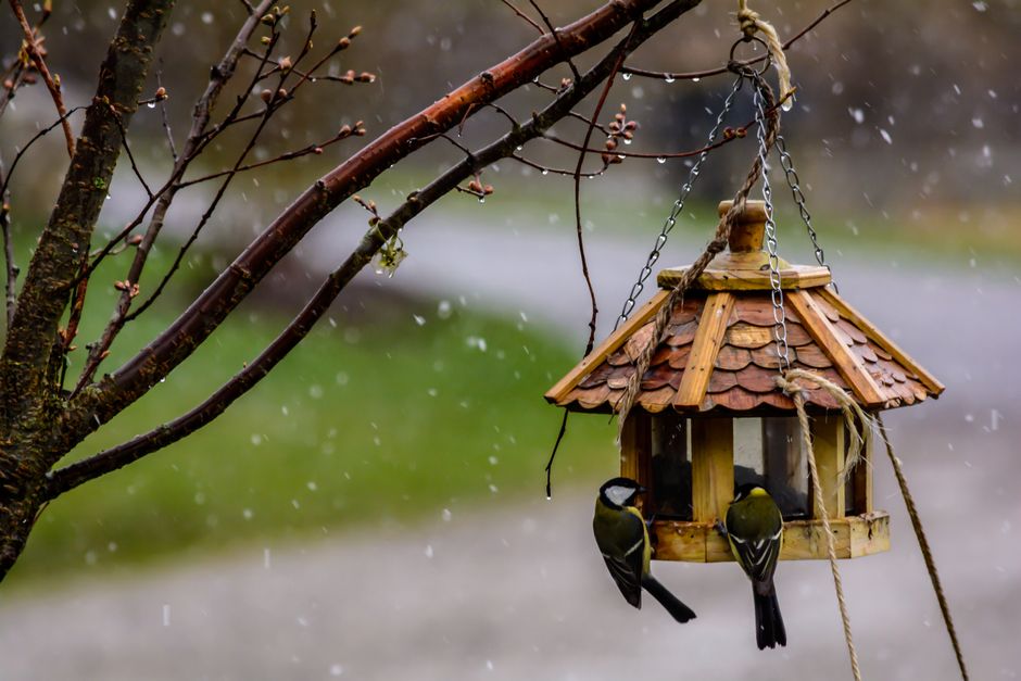 Vogelfutterhaus im Garten