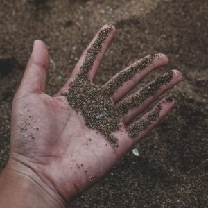 Sandboden verbessern: leichten Boden düngen und richtig gießen