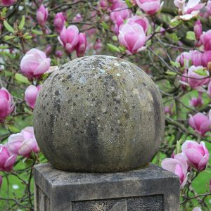 Park Průhonice: Geschichte, Rhododendren und Sehenswertes