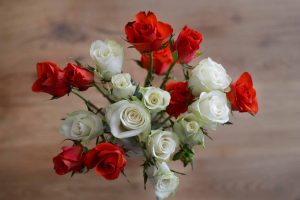Rosen düngen: womit und wann Sie Rosen düngen