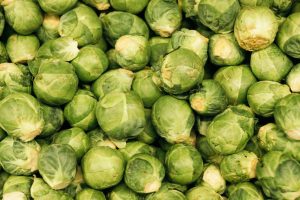 Rosenkohl: Anbau, Spitze kappen und Ernte