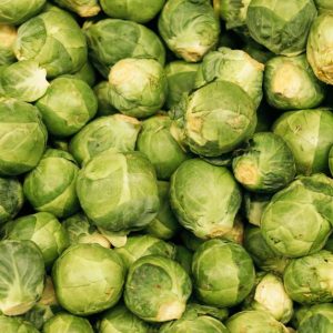 Rosenkohl: Anbau, Spitze kappen und Ernte