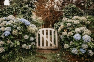 Bauerngarten am Landhaus: Blumen, Zaun, Beete und Hof