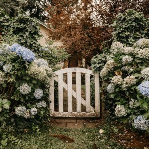 Bauerngarten am Landhaus: Blumen, Zaun, Beete und Hof