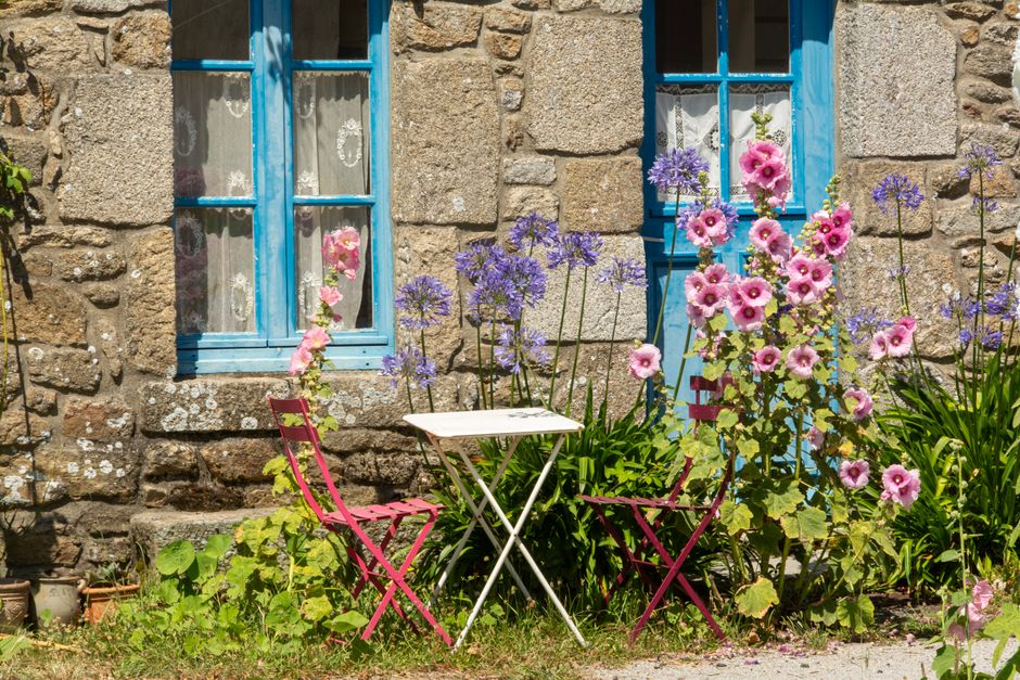 Bauerngartenblumen – Pfingstrosen, Phlox, Malven