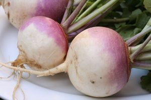 Speiserübe: Anbau, Ernte und Unterschied zur Steckrübe