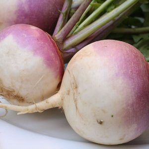 Speiserübe: Anbau, Ernte und Unterschied zur Steckrübe