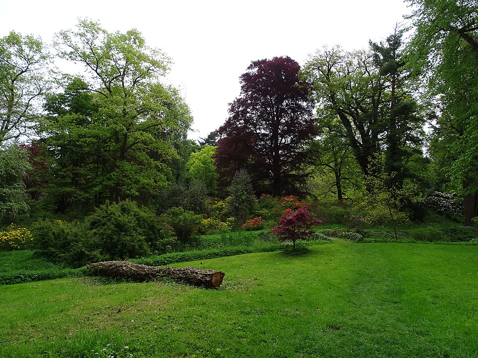 Schlosspark Vrchotovy Janovice nordöstlich des Schlosses