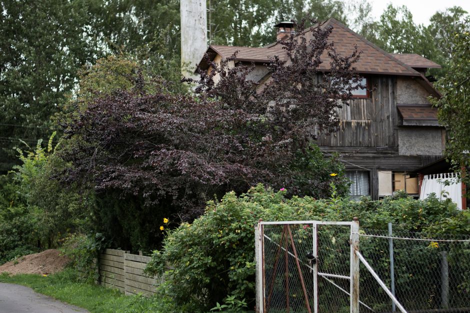 Abstand eines Baums zum Zaun des Nachbarn