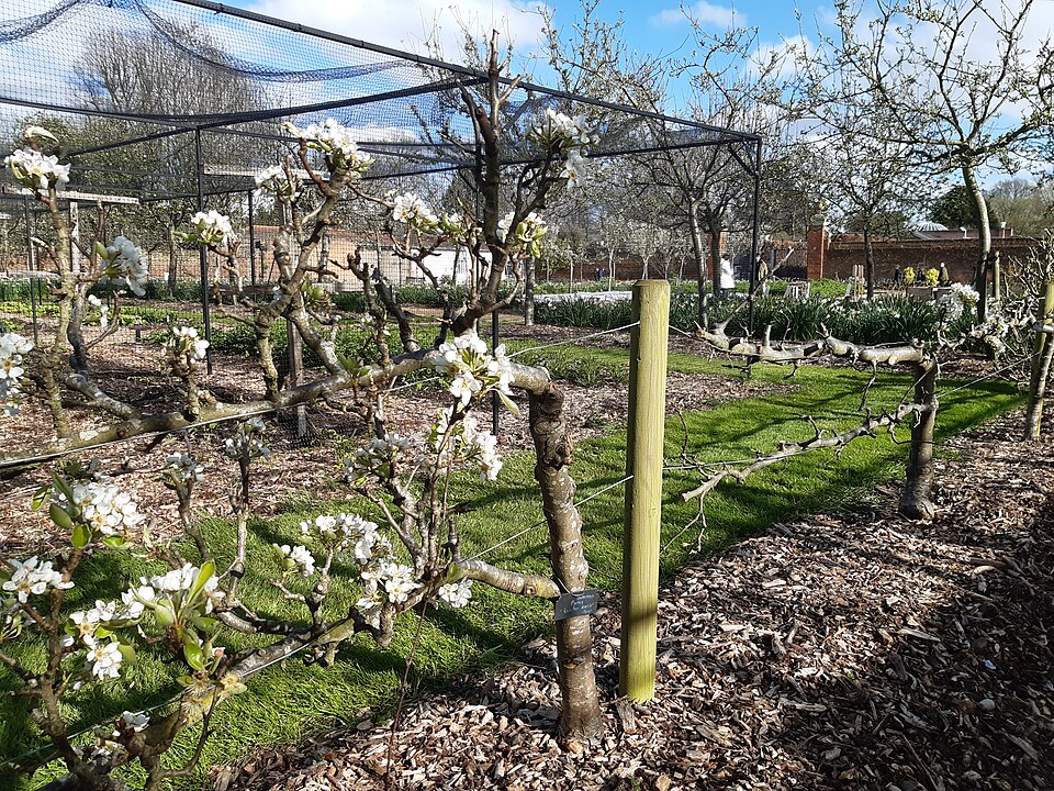 Garten im Mai