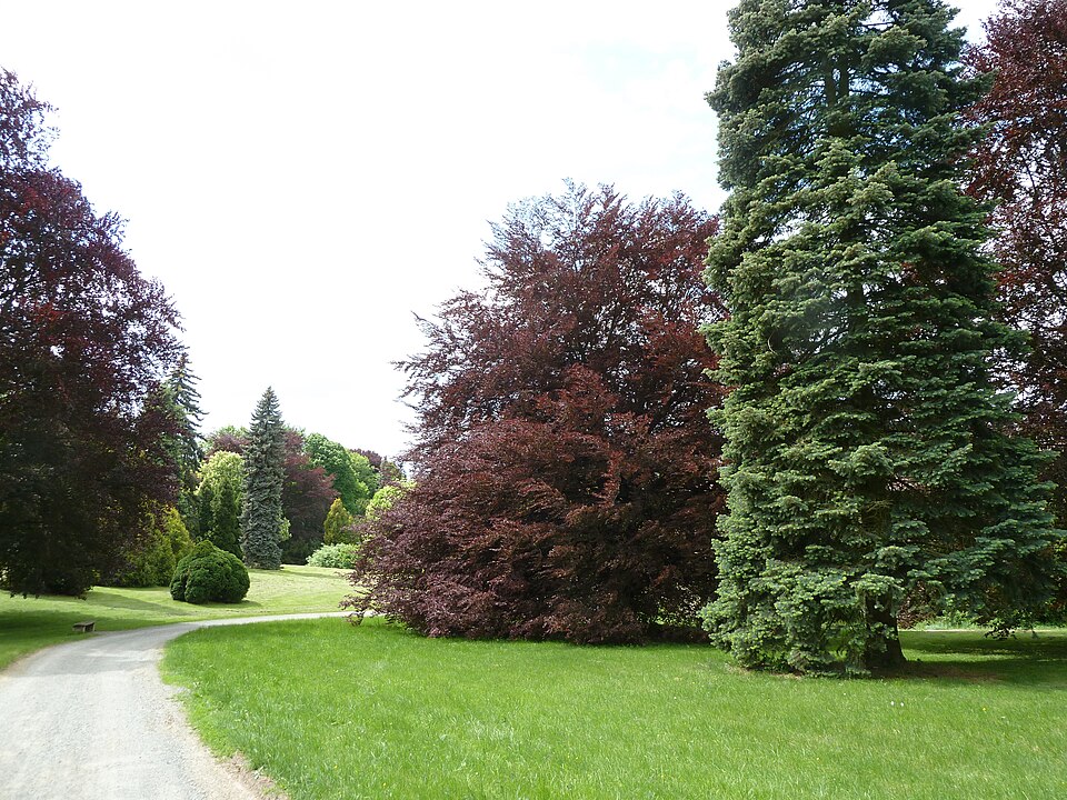Park in Čechy pod Kosířem