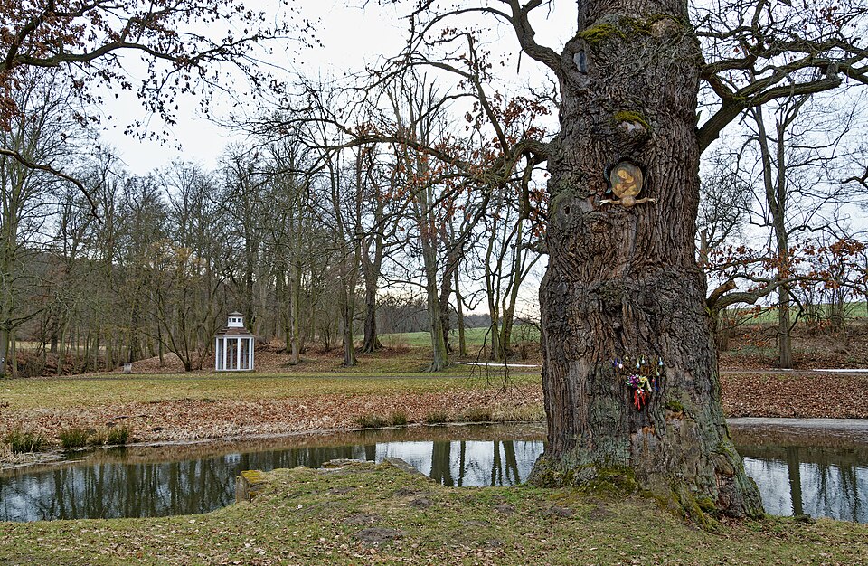 Marieneiche im Park Krásný Dvůr