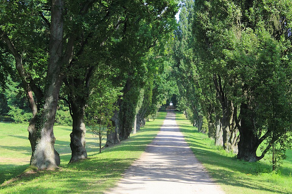 Allee im Schlosspark Sychrov
