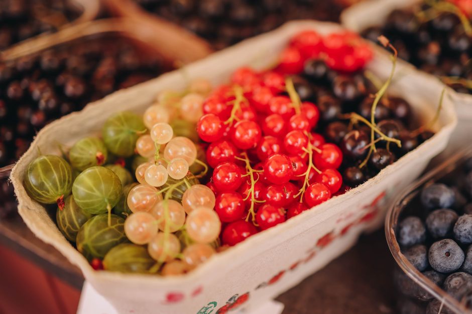 Reife Stachelbeeren