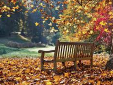 wann den rasen im herbst düngen