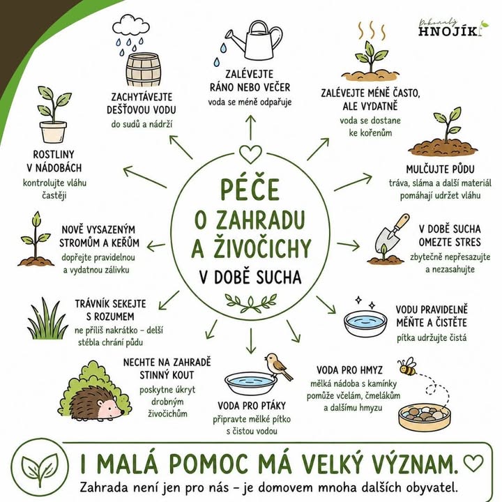 Facebook příspěvek HNOJIK.CZ